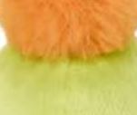 Cactus with Orange Bloom