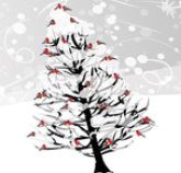 Cardinal/Tree