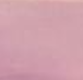 Cosmo Pink