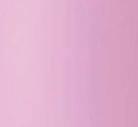 Hydrangea Pink