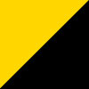 Team Collegiate Gold/ Black