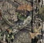 Mossy Oak Country