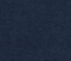 Polo Blue (570)