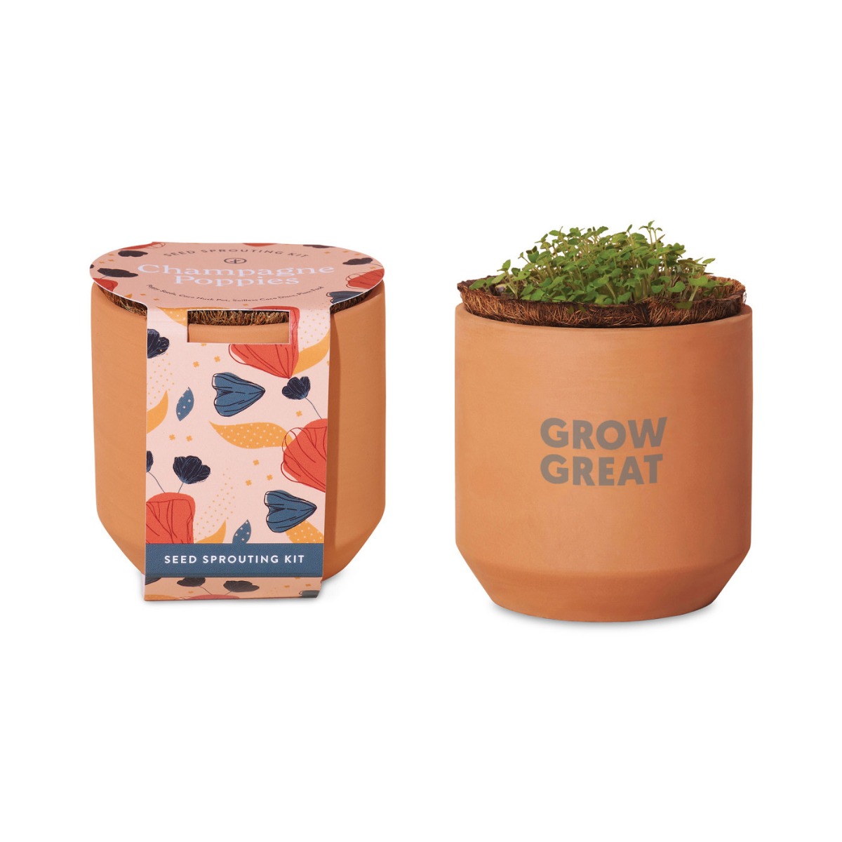 Modern Sprout® Tiny Terracotta Grow Kit - Champagne Poppies