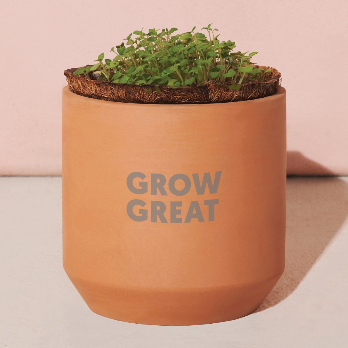 Modern Sprout Tiny Terracotta Grow Kit - Champagne Poppies
