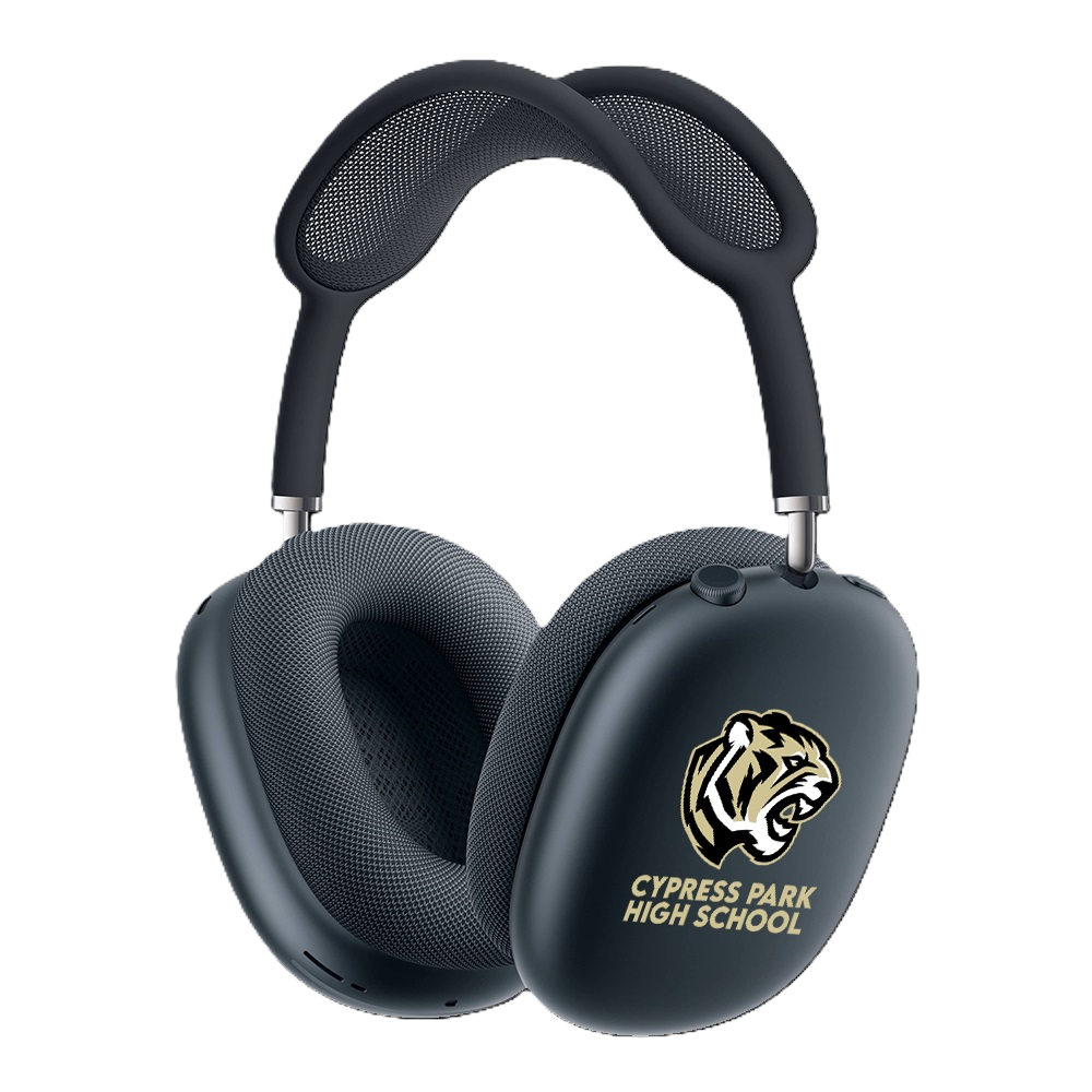Custom Apple AirPods Max 2 (USB-C) image