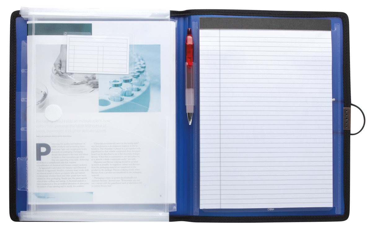 Frosted Plastic File Folder 13" x 10"