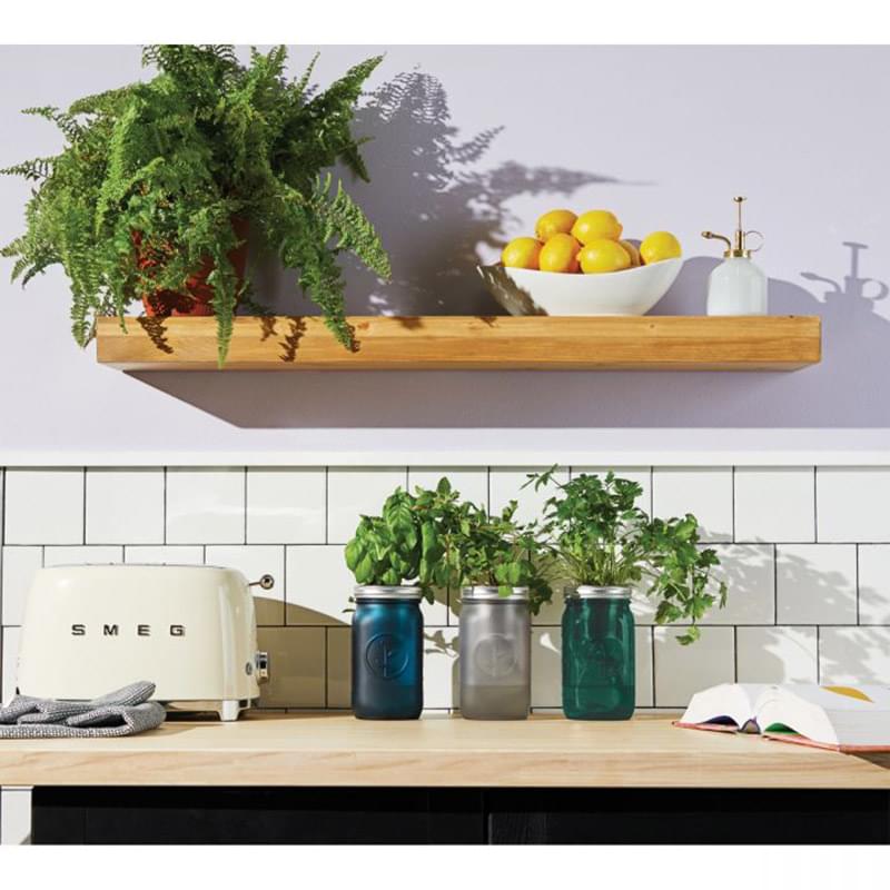 Modern Sprout® Indoor Herb Garden Kit