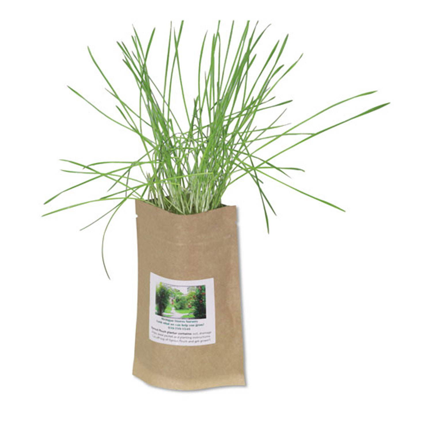 Sprout Pouch Grow Kit