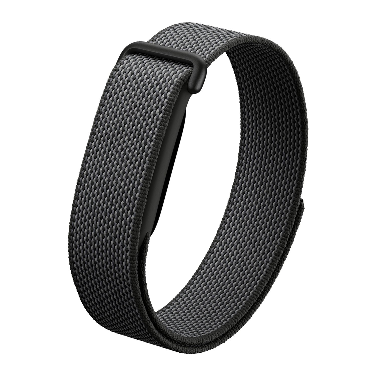 Google Fitbit Air