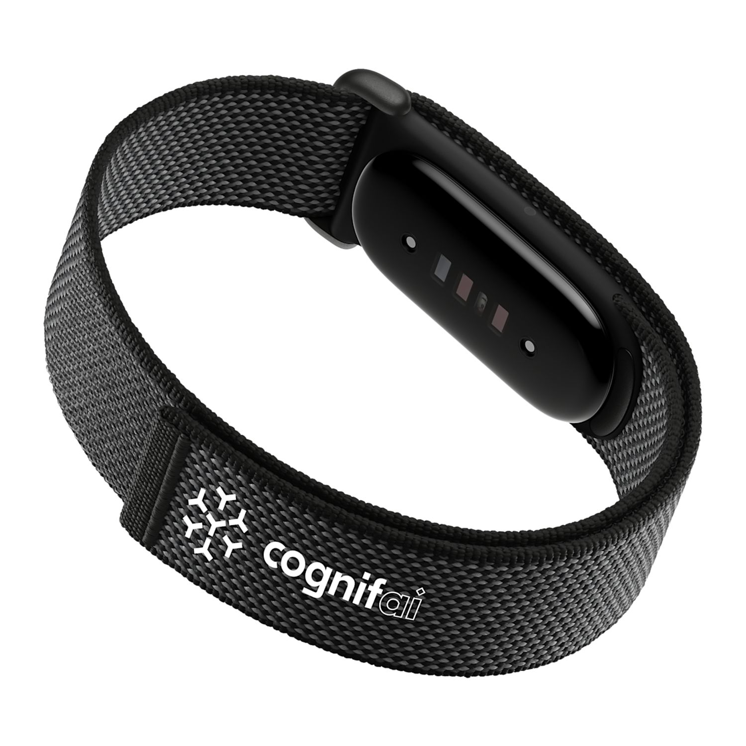 Google Fitbit Air