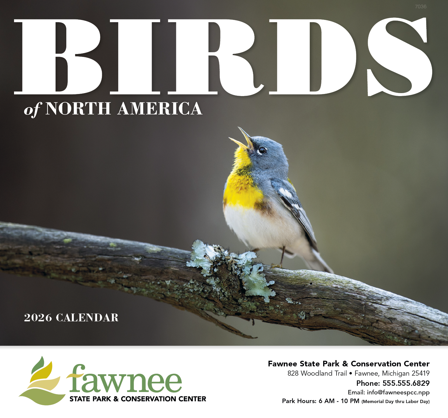Birds of North America - Stapled