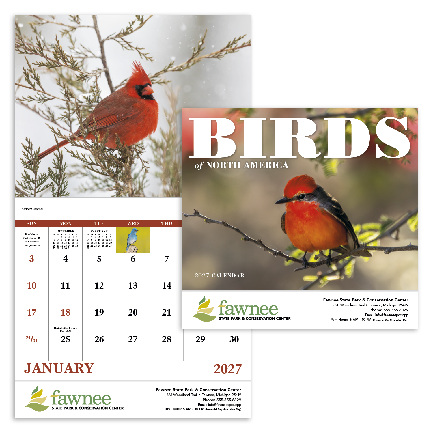 Birds of North America - Stapled