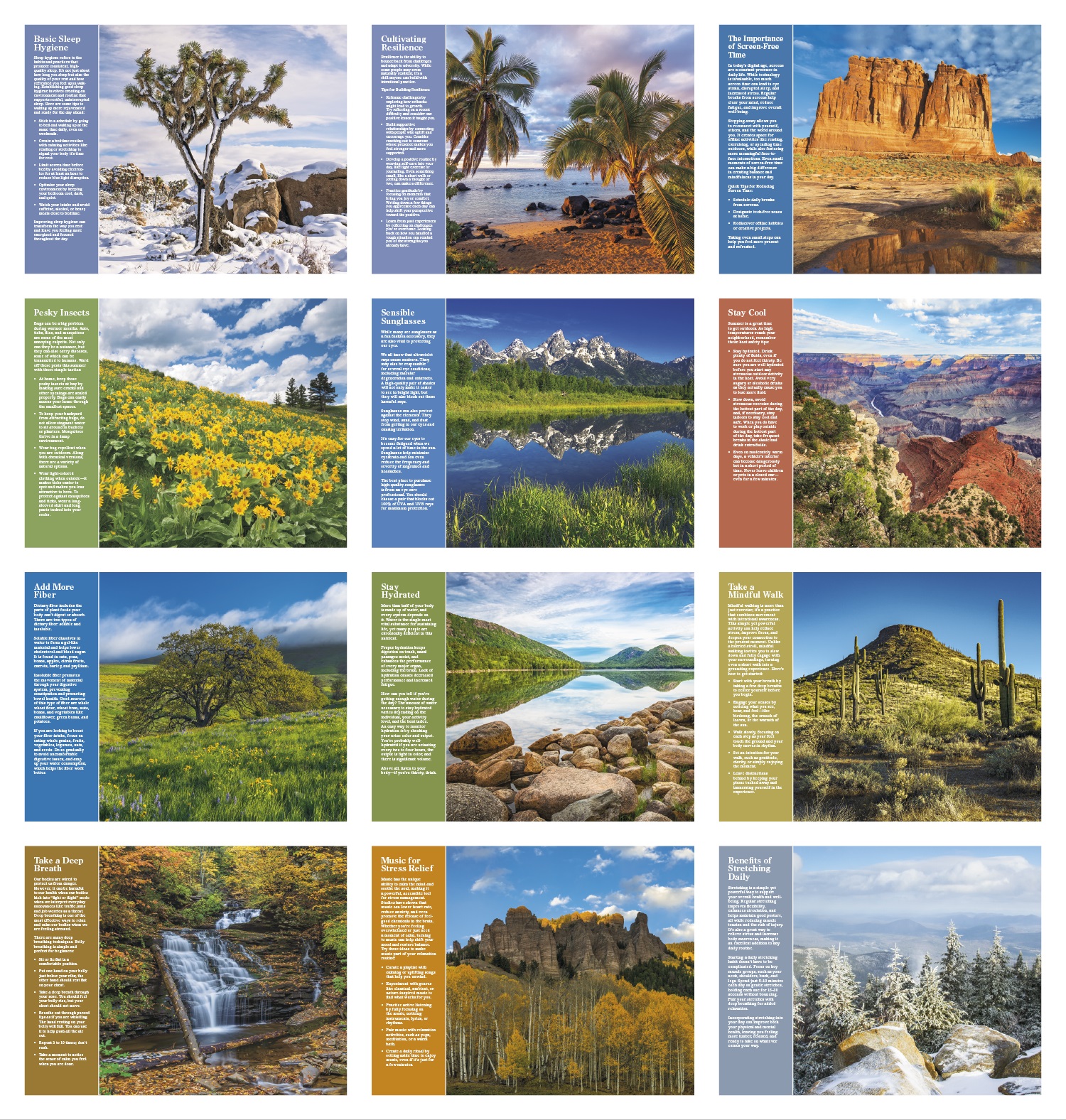 Healthy Living Calendar - Stapled