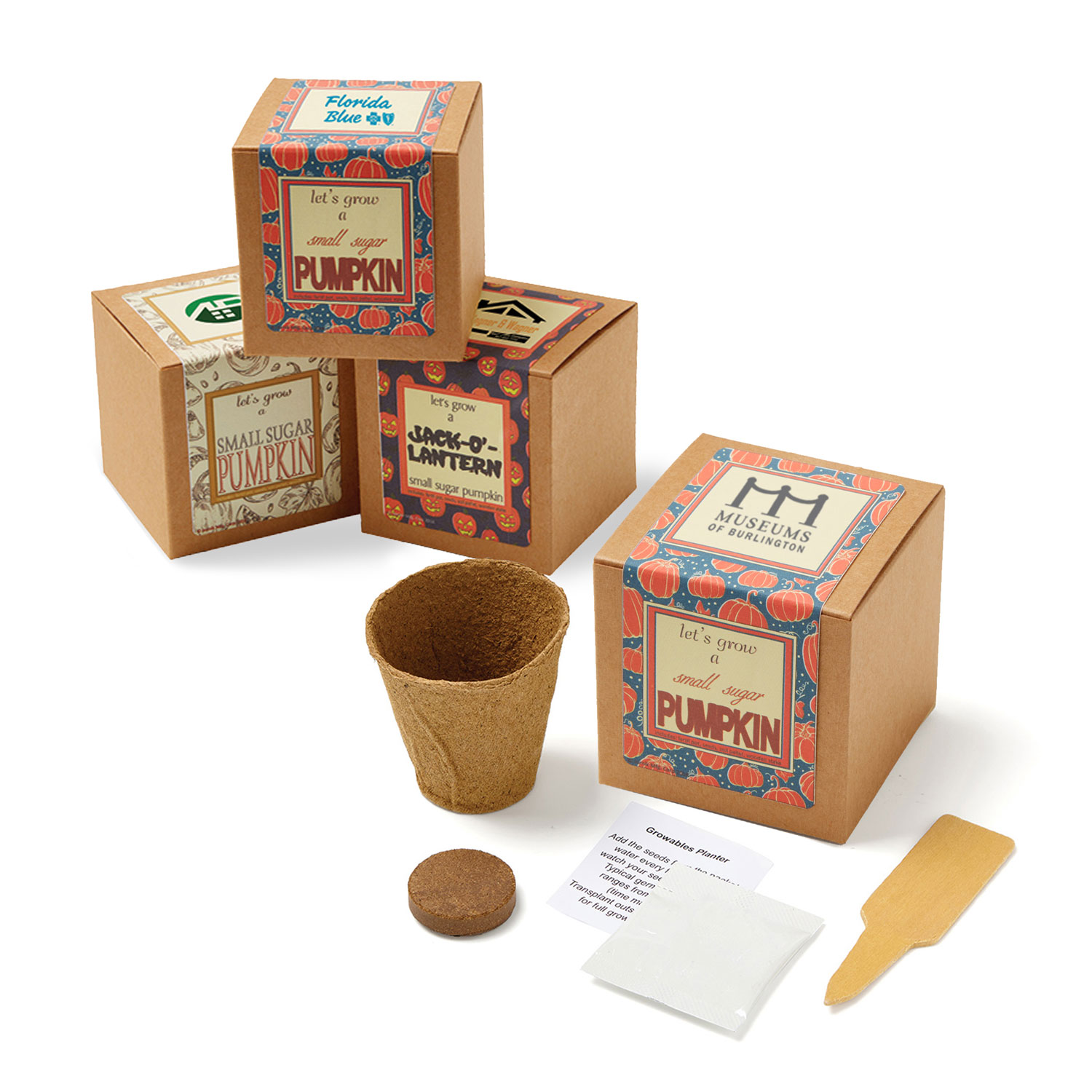 Sugar Pumpkin Growables Planter in Kraft Gift Box image