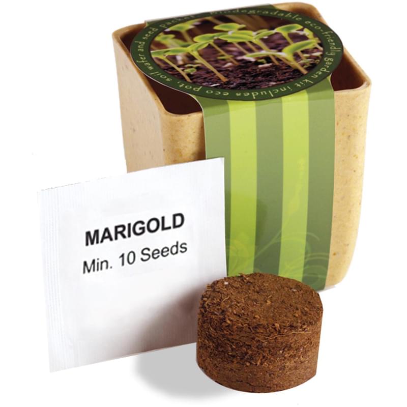 Flower Pot Set With Marigold Seeds
