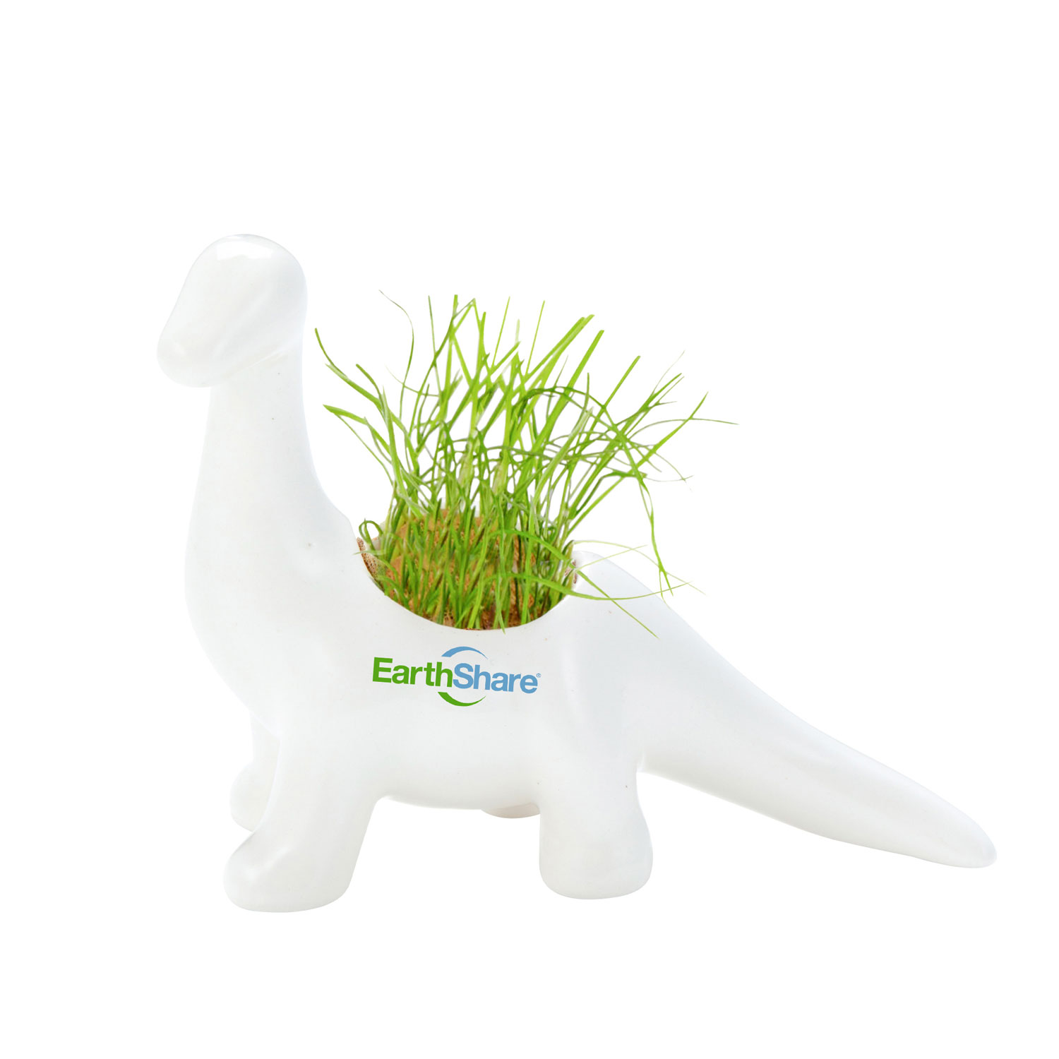 Ceramic Dinosaur Planter with Grass Seed image