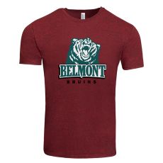 Threadfast Apparel Triblend T-Shirt - Unisex