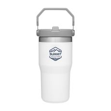 Stanley® The IceFlow™ Flip Straw Tumbler – 20 oz.