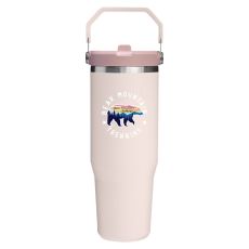 Stanley® IceFlow™ 2.0 Flip Straw Tumbler - 30 oz