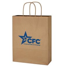 Brown Kraft Paper Bag with Handles - 10