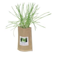 Sprout Pouch Grow Kit