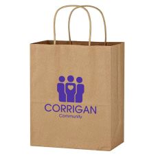 Brown Kraft Paper Bag with Handles - 13