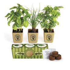 Growpot Eco-Planter Herb 3-Pack