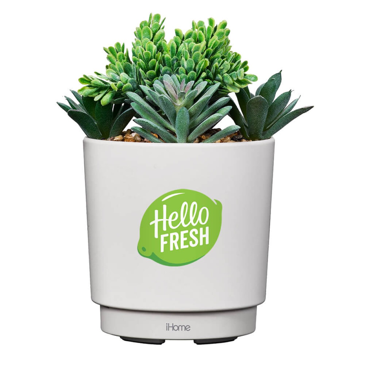 iHome® Faux Succulent with USB Charging Station