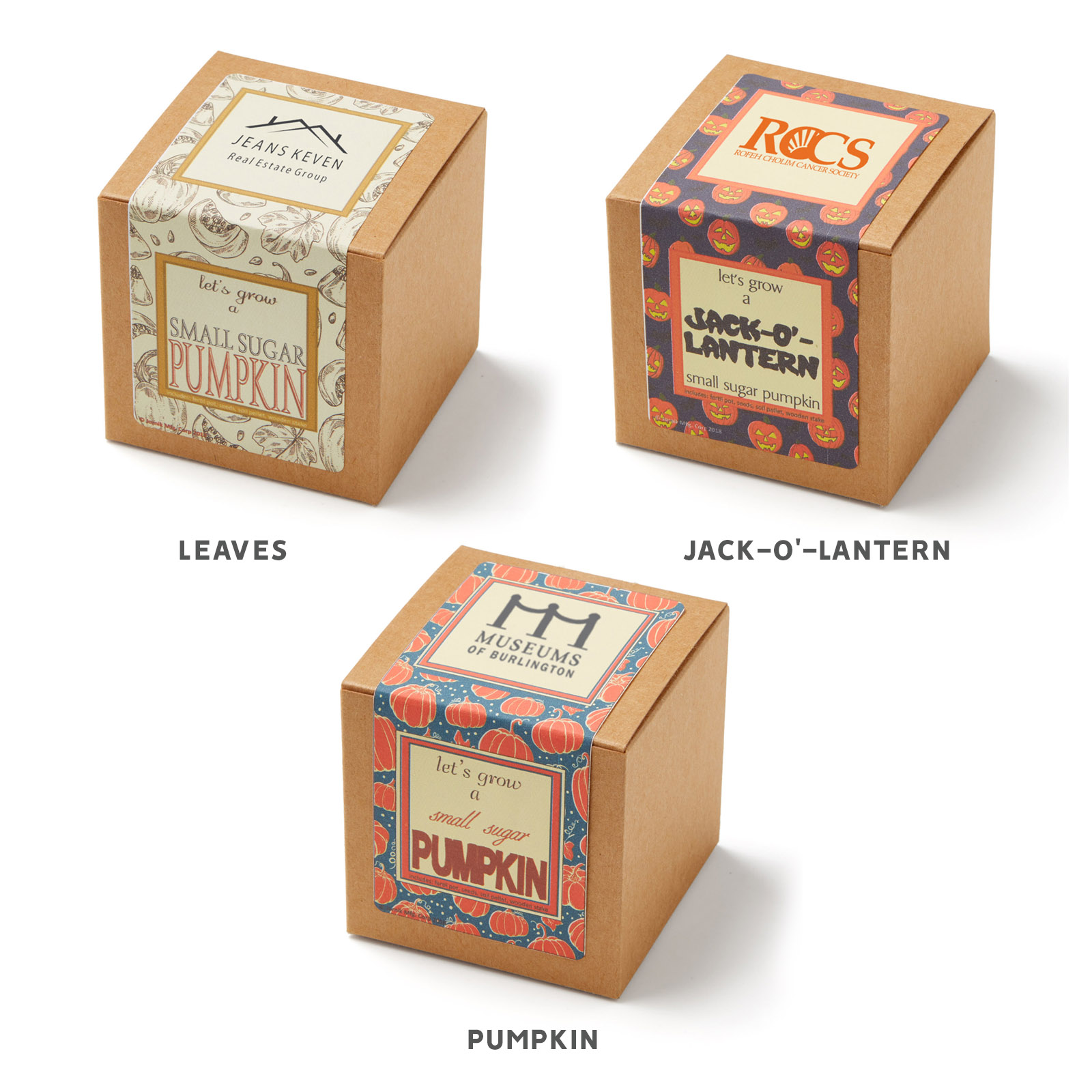 Sugar Pumpkin Growables Planter in Kraft Gift Box