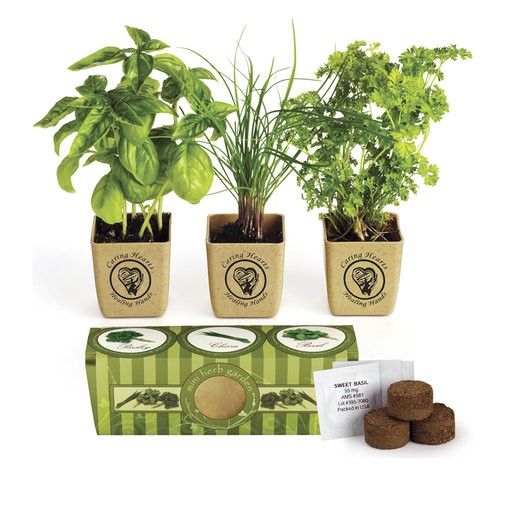 Growpot Eco-Planter Herb 3-Pack