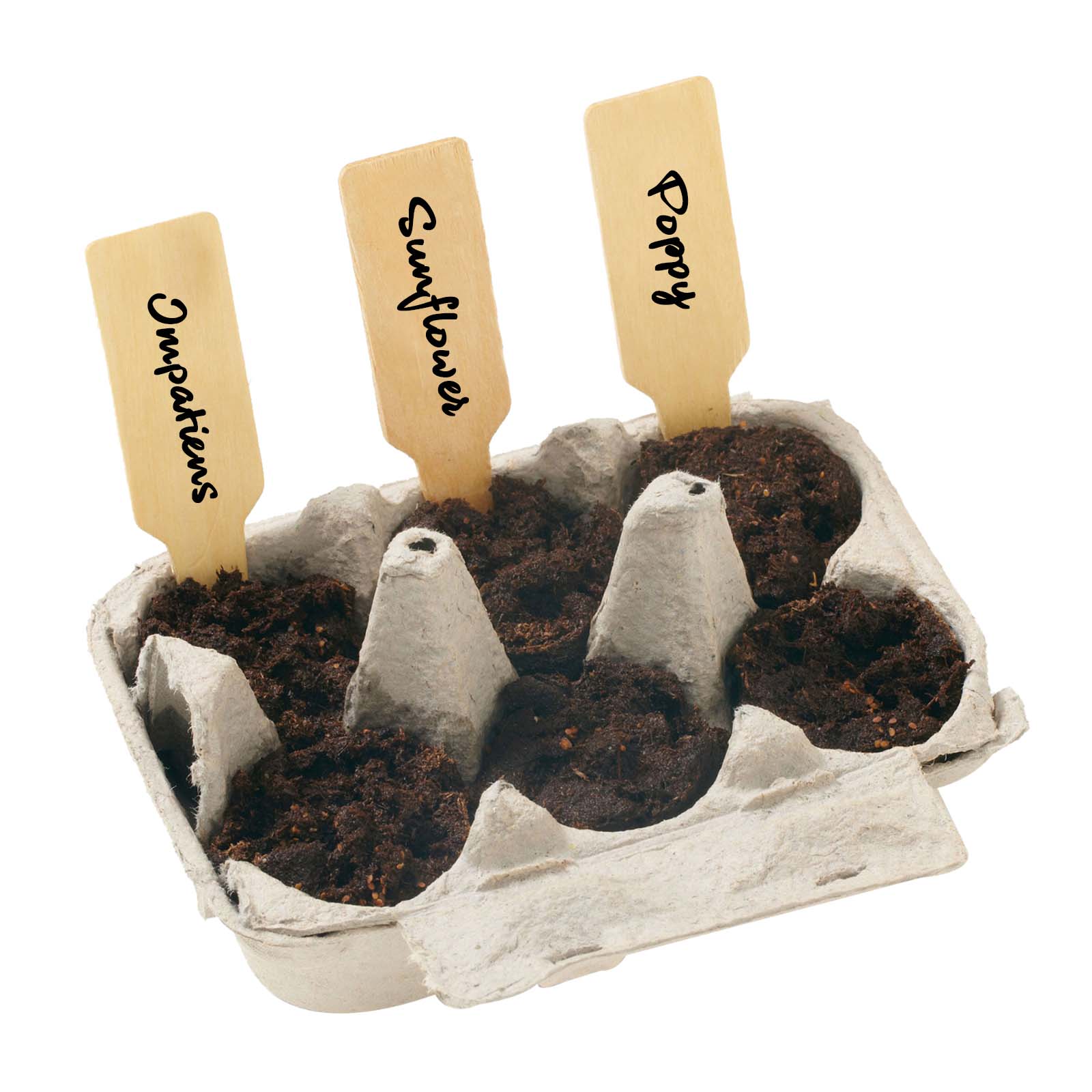 Full-Color Grow Your Own Garden