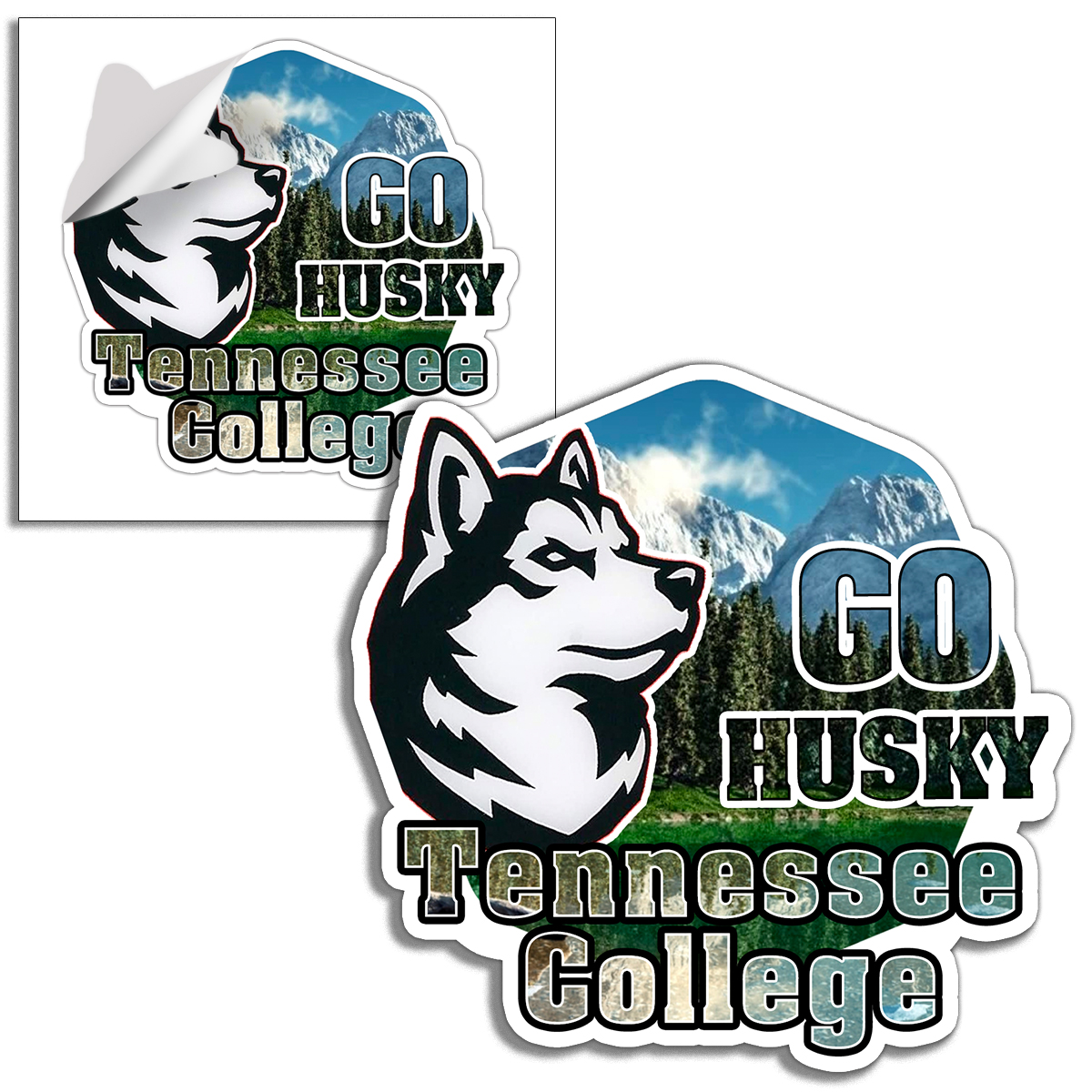Full Color Removable Vinyl Sticker - up to 16 sq. in. image