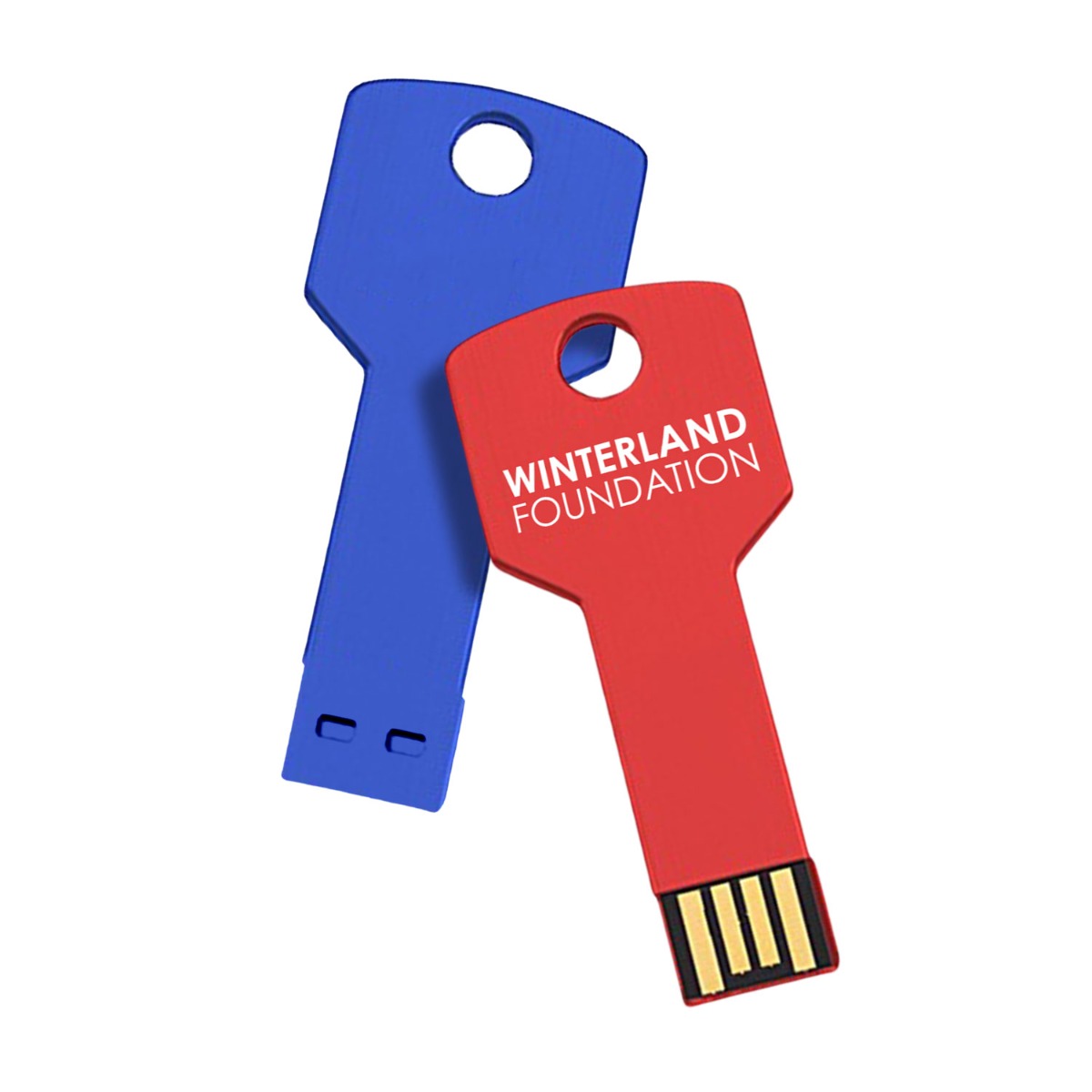 Key USB Metal Flash Drive image