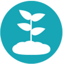 Ecologi Icon
