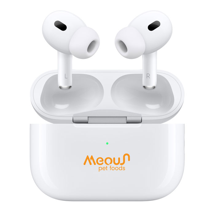 custom-airpods-pro-2nd-gen-